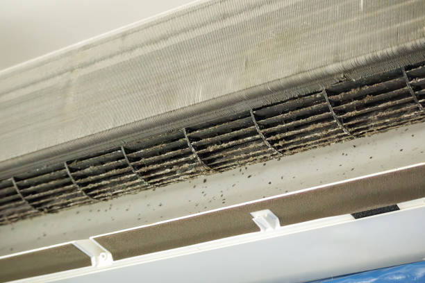 Home Air Vent Cleaning in Cameron, WI